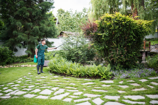 How Our Tree Care Process Works  in  Spring Grove, PA